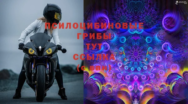 молекула духа Майский