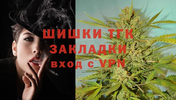 молекула духа Майский