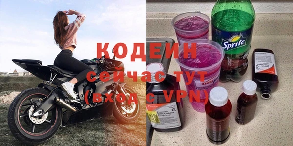 молекула духа Майский
