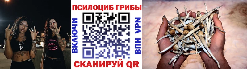 Галлюциногенные грибы Cubensis  Малоархангельск 